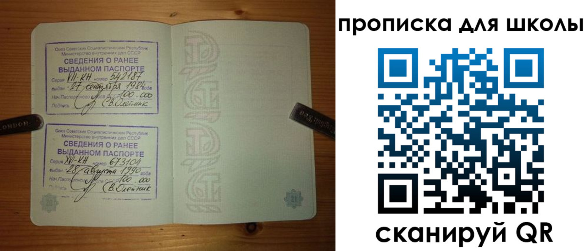 прописка для школы в Новокуйбышевске